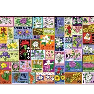 Ceaco - Tracy Flickinger - State Flowers - 1000 Piece Jigsaw Puzzle